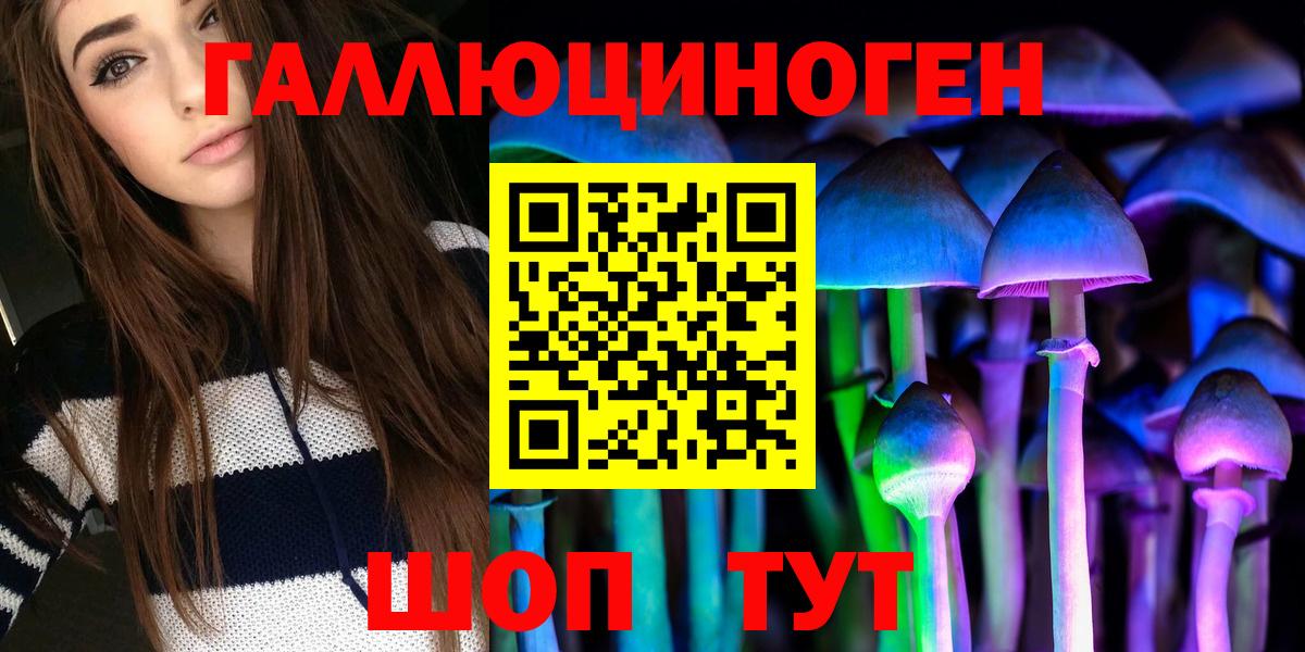 Псилоцибиновые грибы Psilocybine cubensis Коряжма
